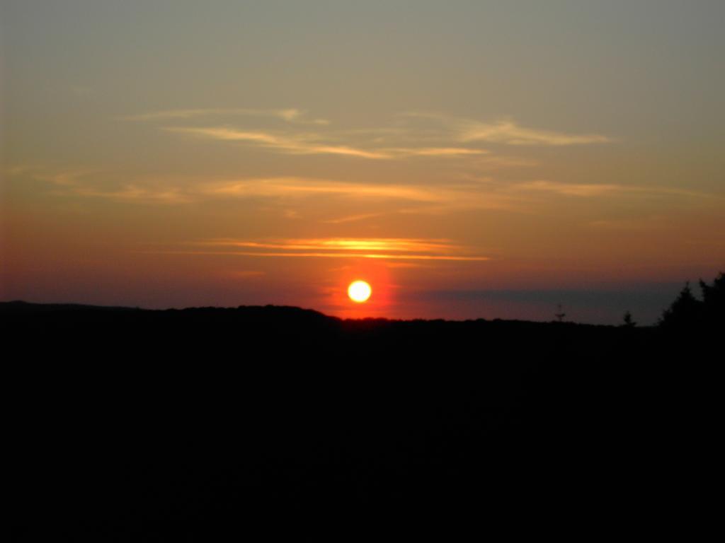 Am Waldrand *