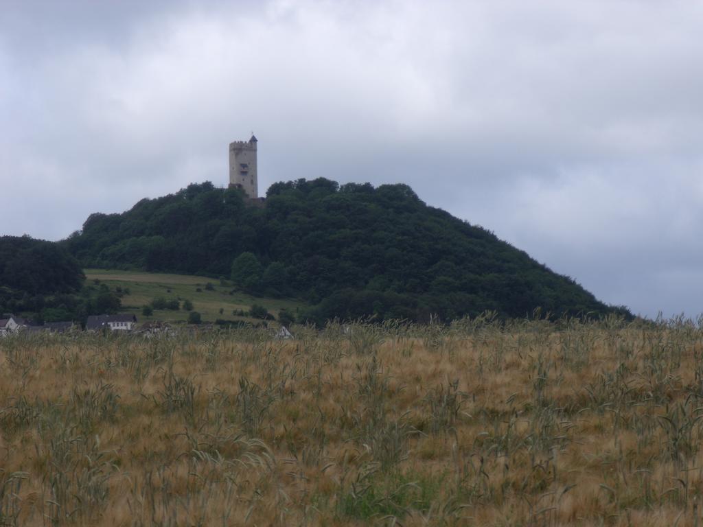 Appartement Am Waldrand Bad Breisig